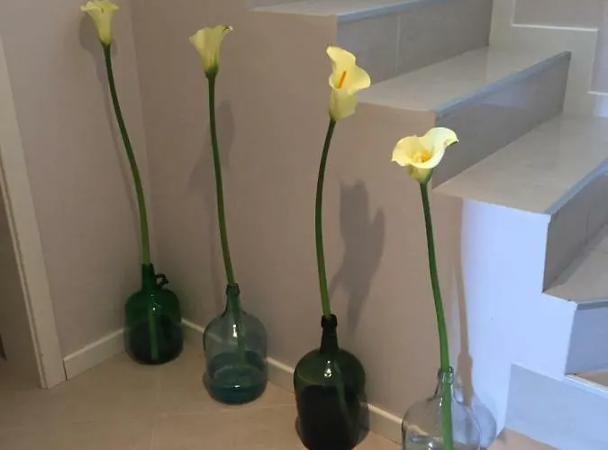 Casa Da Grota Porto Moniz